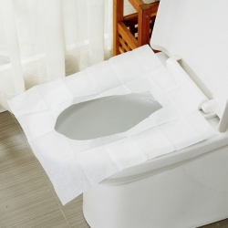 Индивидуальное защитное туалетное покрытие 1/100 шт